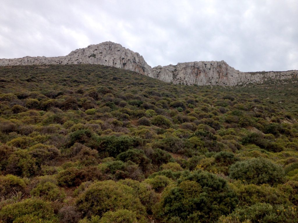 Ein Hügel voll Kräuter beim Kloster Aigos Ioannis