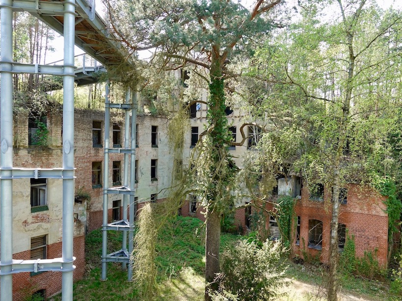 Baum und Zeit: Alpenhaus