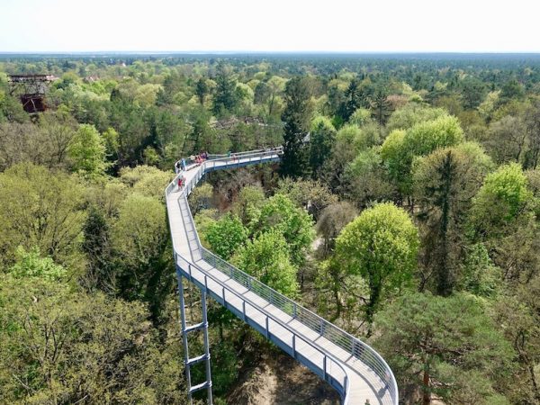 Baum und Zeit Baumkronenpfad: Holzsteg