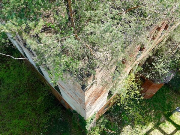 Baum und Zeit Baumkronenpfad: Alpenhaus