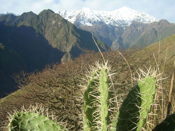 Der unfassbar schöne Ausblick beim Choquequirao Trek im Apurimac Tal