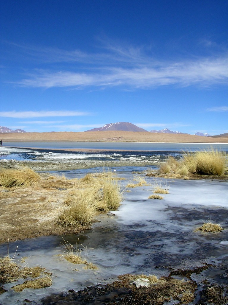 Laguna Canapa in der Salar de Uyuni
