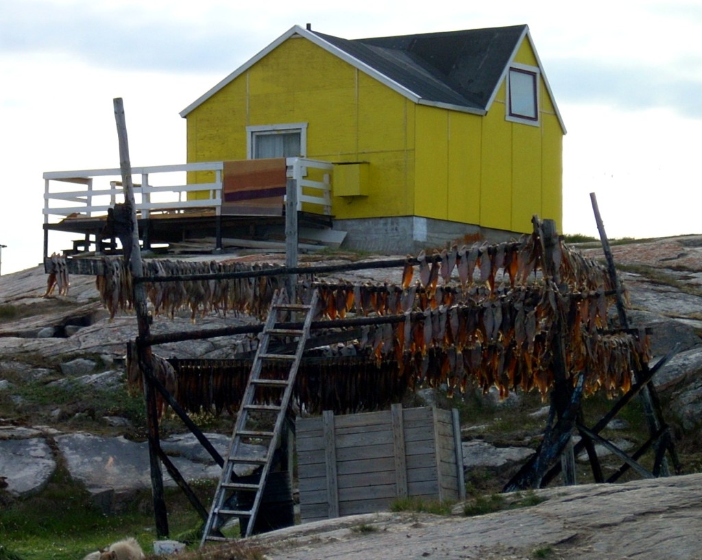 Fische hängen zum Trocknen vor einem Haus in Grönland