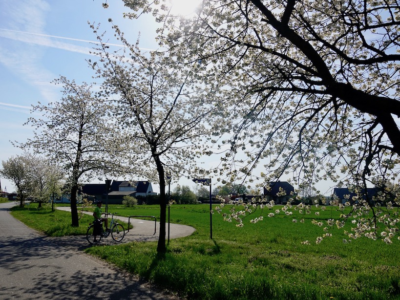 Flaeming Skate: Wegabzweigung