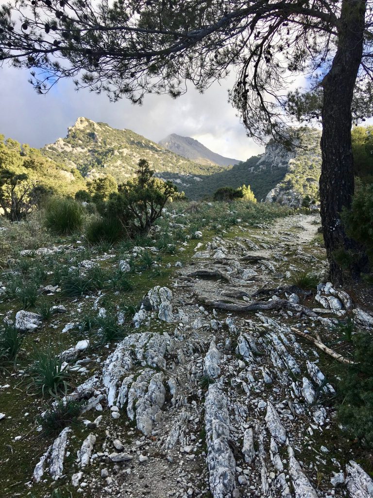 GR 221: Coll de Sa Basola