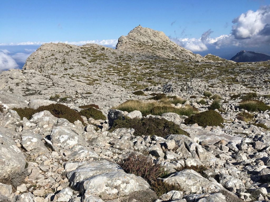 GR 221: Puig de Massanella