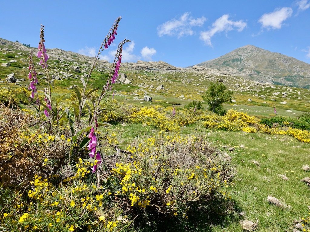 Ebene am Weg zum Refuge de Manganu