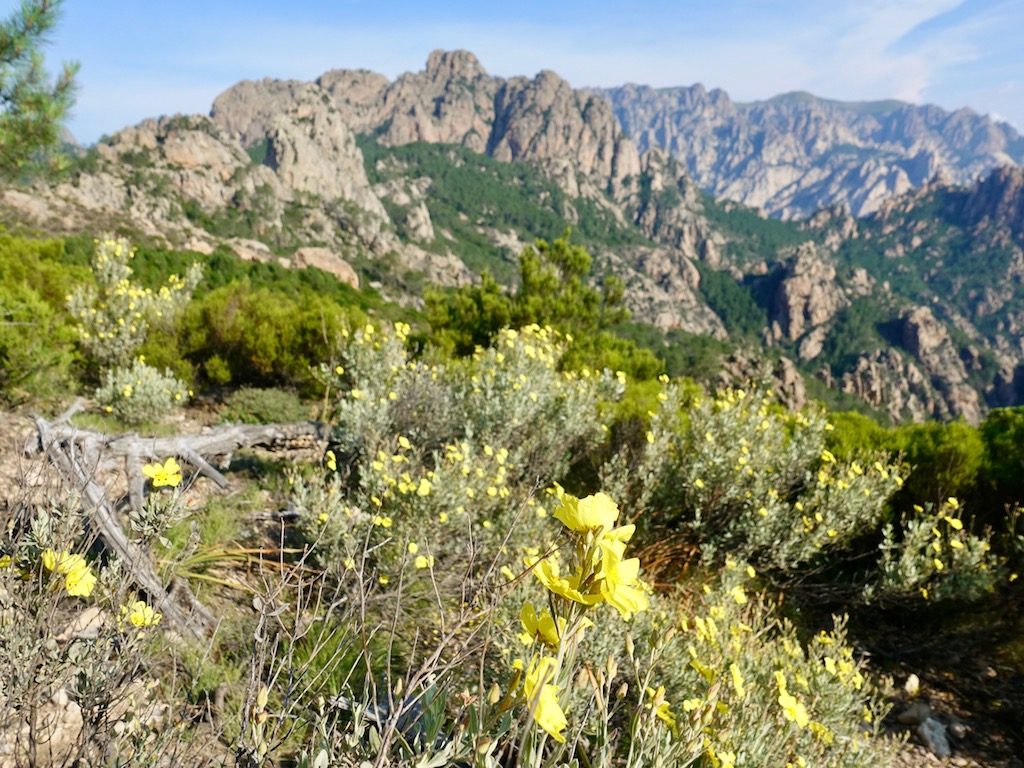 GR20-Korsika-Wandern: Letzte Etappe bis Conca