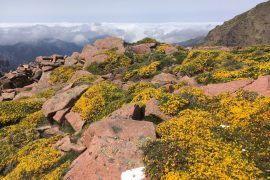 Die besten Tipps fürs Wandern am GR20 auf Korsika