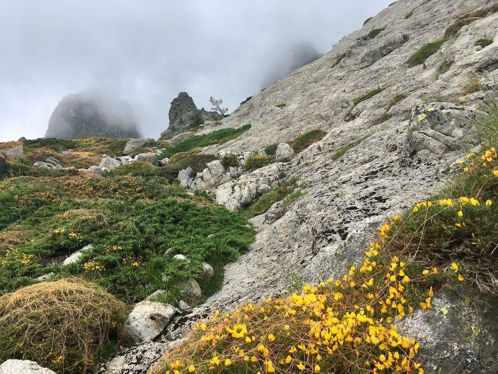 GR20: Am Weg zum Col de Bavella