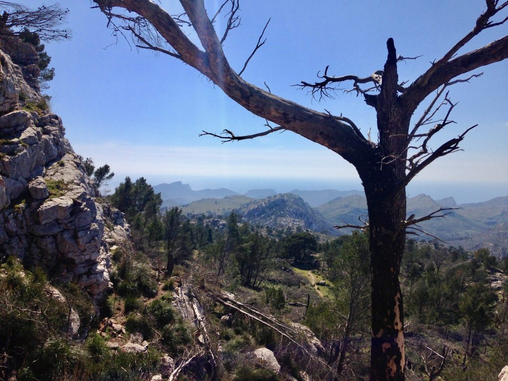 Ausblick Richtung Süden der Insel am Weg vom Refugio Ses Fontanelles nach Estellencs