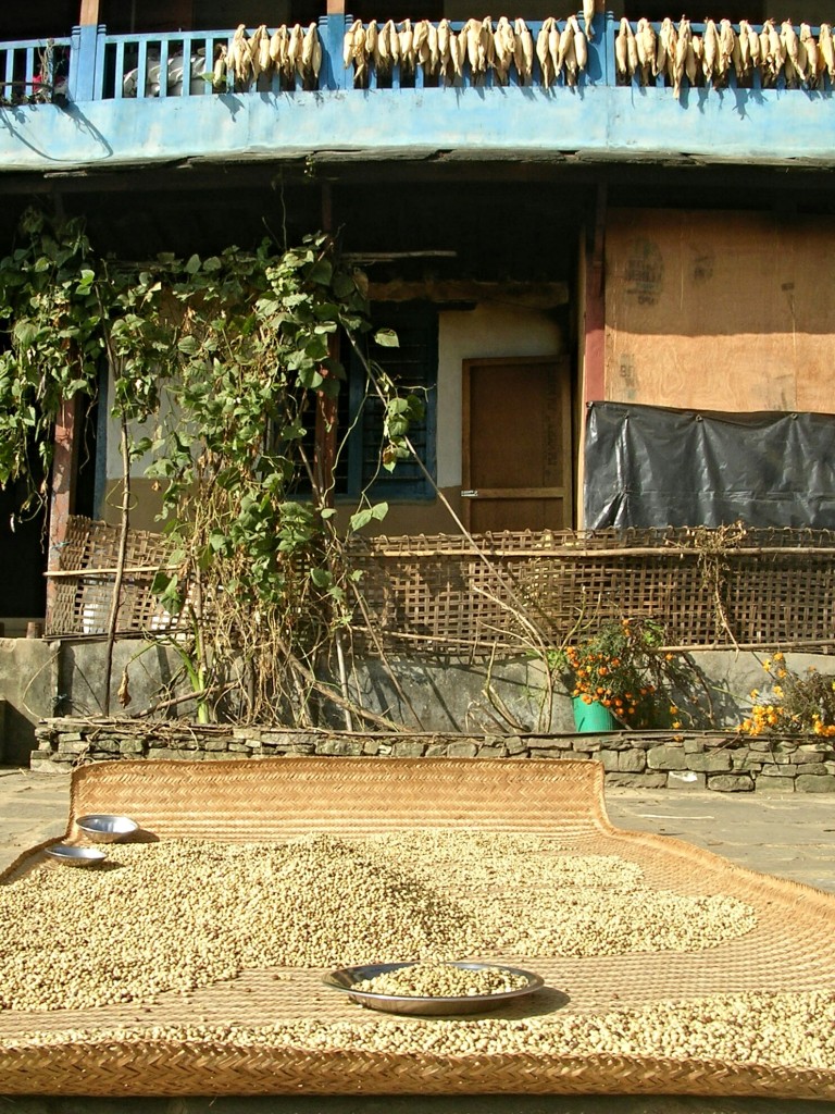 Haus in Ghandruk