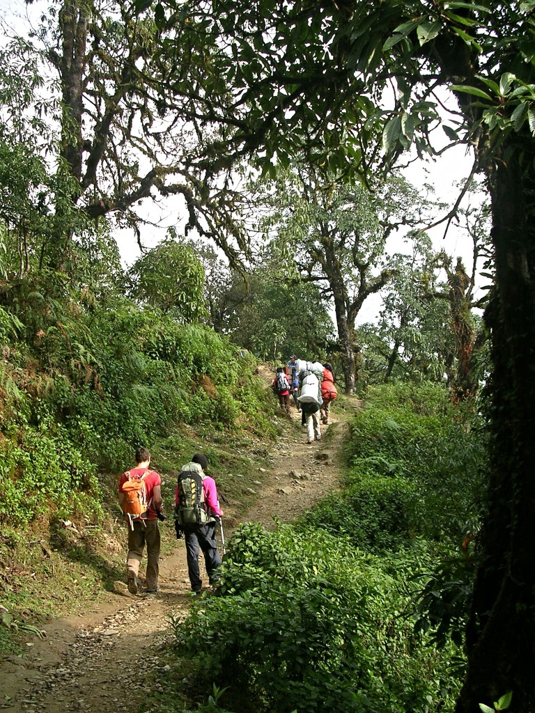 Am Annapurna Basecamp Trek