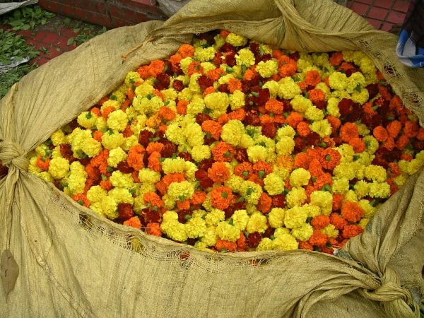 Blumenmarkt in Kalkutta