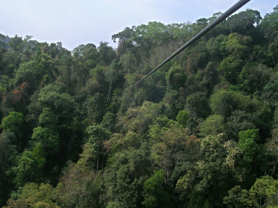 Zip-Line in Huay Xai