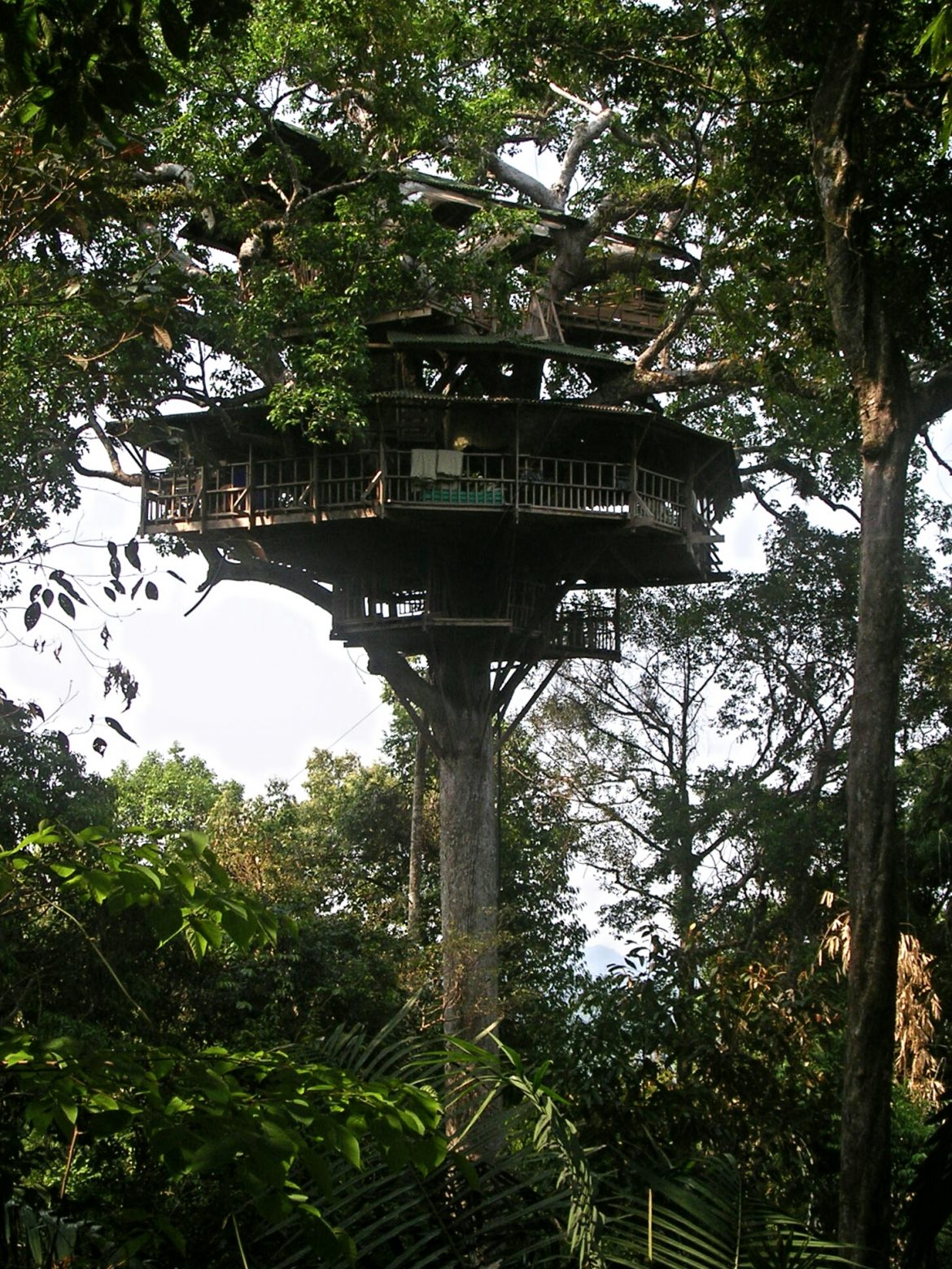 Baumhaus von Gibbon Experience Huay Xai