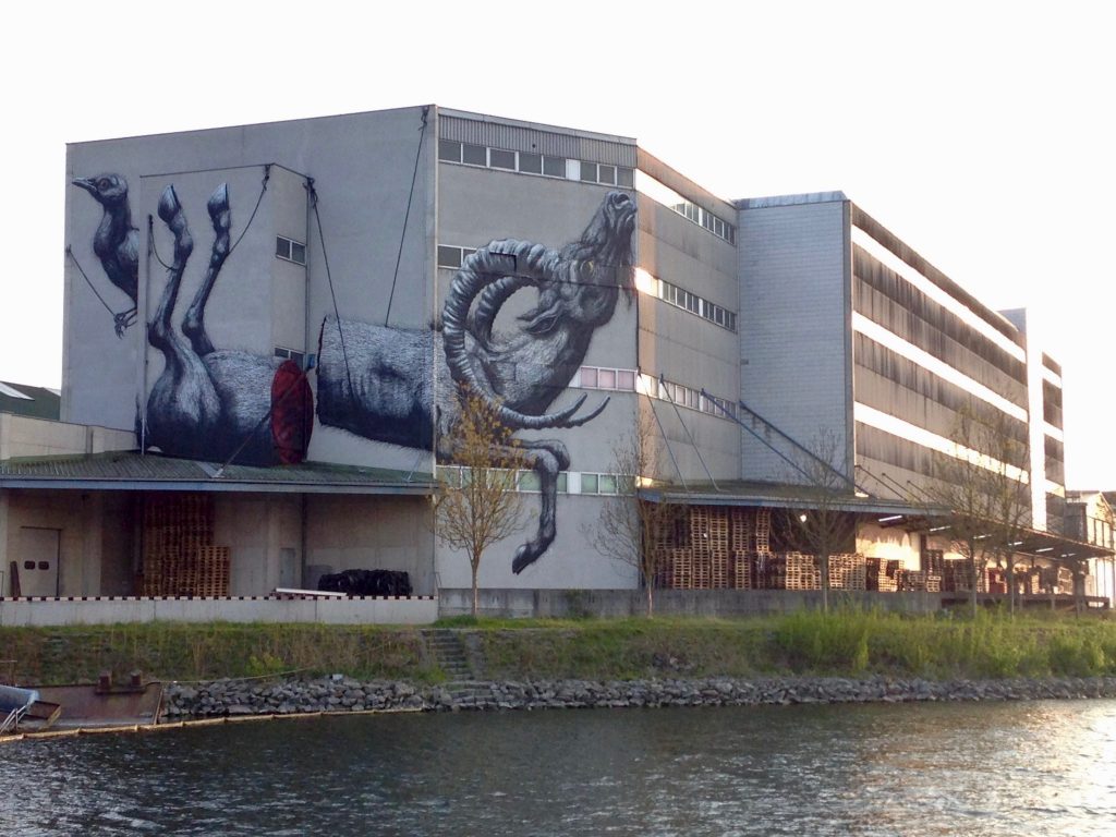 Das Bild eines zerschnittenen Steinbocks fügt sich perfekt in die Hausmauer ein - Kunstwerk vom belgischen Graffitimaler Roa