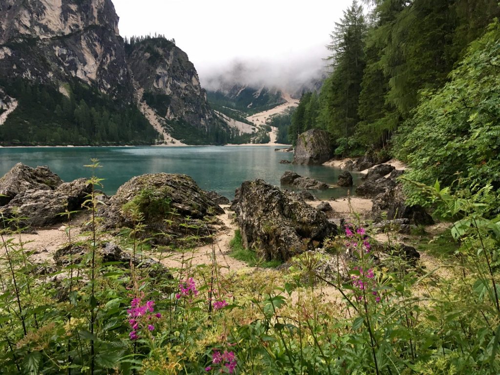 Pragser Wildsee: Seeufer