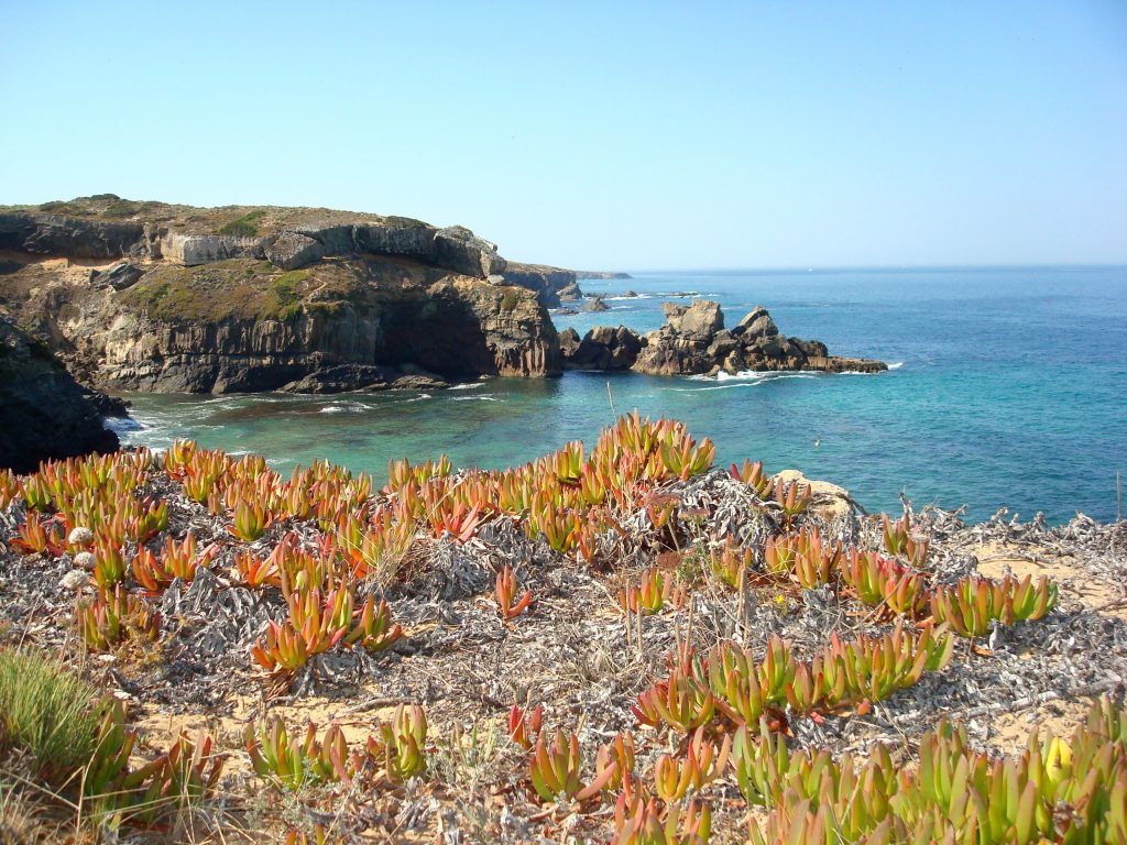 Klippen am Rota Vicentina