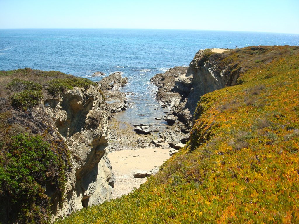 rotavicentina_strandportocovo