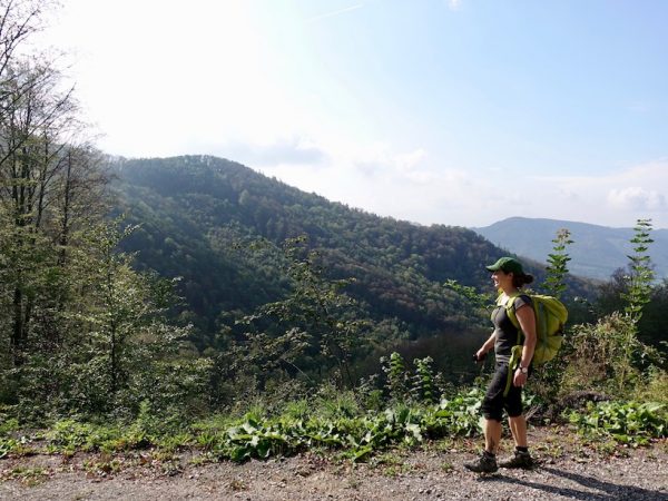 Wachauer-Jakobsweg-Wandern