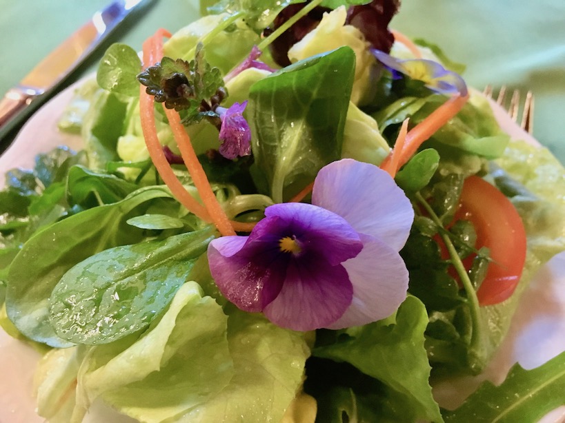 Bunter Salat mit einer violetten Blume