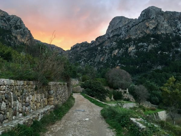 Wandern in der Serra-Tramuntana: Cami de Barrancs