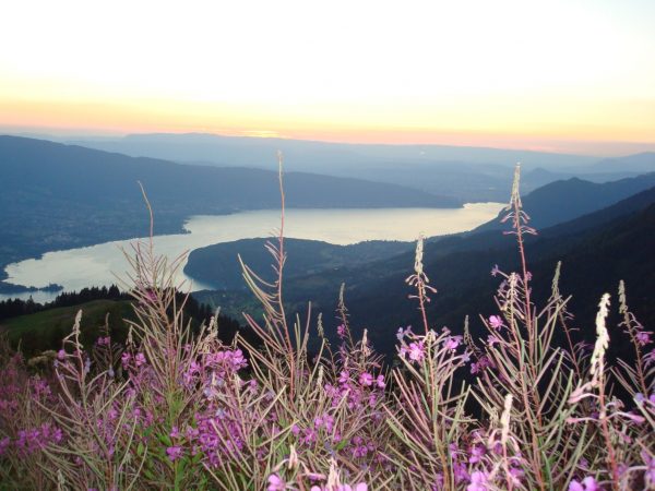 Blick auf den Lac d'Annecy bei unserer Abendwanderung beim La Tournette